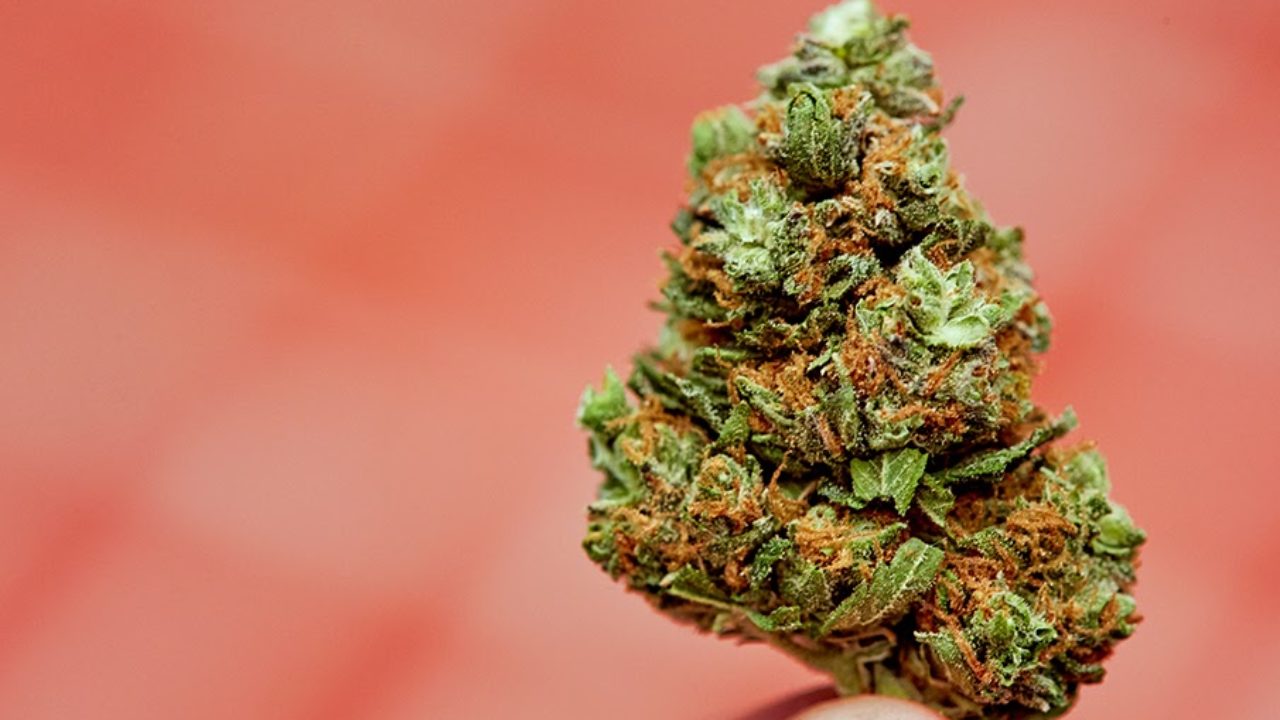 Customers can buy weed online and have secure payment methods post thumbnail image