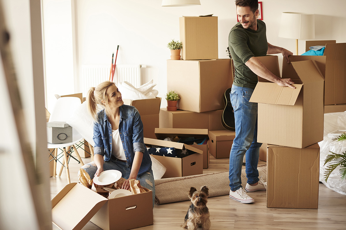 The Benefits Of A Credible Moving company Are Delivered Here post thumbnail image