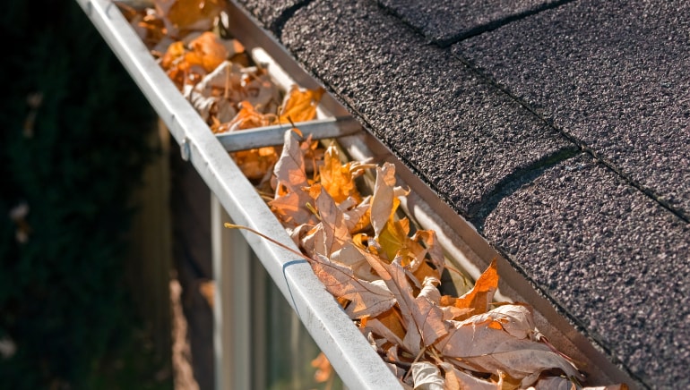 If You Are Looking for Gutter cleaning Options You Need to Click here post thumbnail image