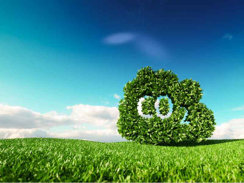 Carbon Offset Australia: Why Is It Necessary post thumbnail image