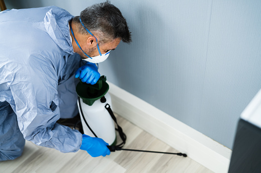 What are the major benefits of hiring Nationwide pest control? post thumbnail image