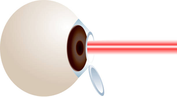 Get the Most Out of Your Eye Exam: Ophthalmologist Services post thumbnail image