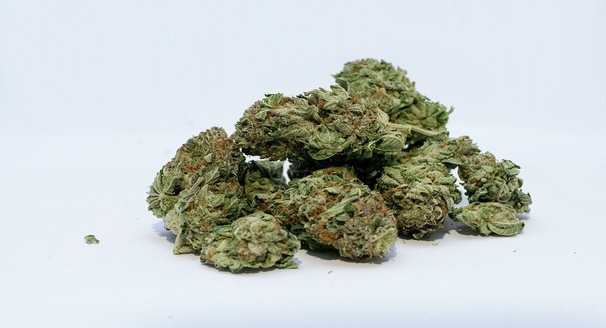 Make your best mail order weed canada in minutes and less than 24 hours, have your product at home post thumbnail image