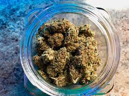 Find the Best Weed Delivery Service in NYC – Get Weed Delivered Safely and Easily! post thumbnail image