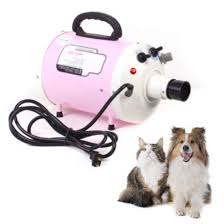Make use of a dog blow dryer to minimize the attack in the hair of canines post thumbnail image